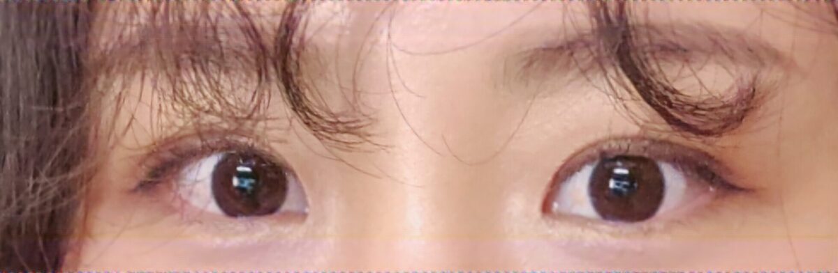 รีวิวการยึดเกาะตามธรรมชาติของ ดร.คิม ฮงจิน
