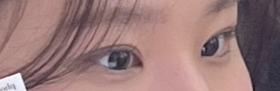 บทวิจารณ์ภาพยนตร์ Natural Adhesion ของผู้กำกับคิม ฮงจิน