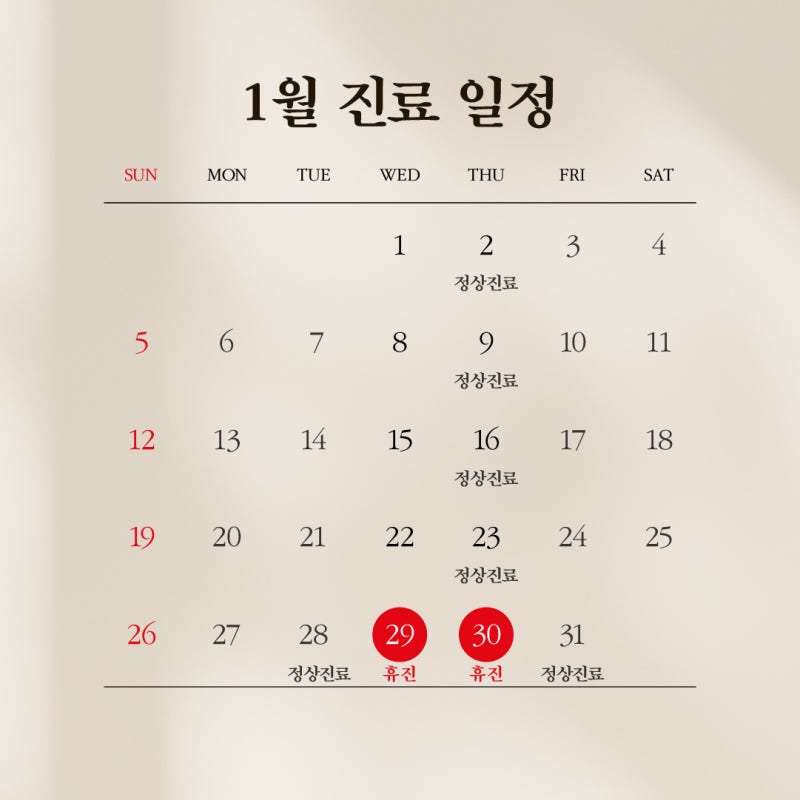 💚Thông báo lịch khám bệnh tháng 01 năm 2025 của Bệnh viện Thẩm mỹ 1mm💚 사진 2
